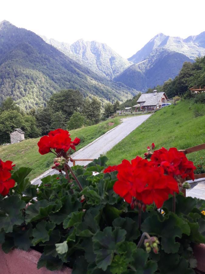 Casa All'Alpe Gaggetto B & B Anzino Екстериор снимка