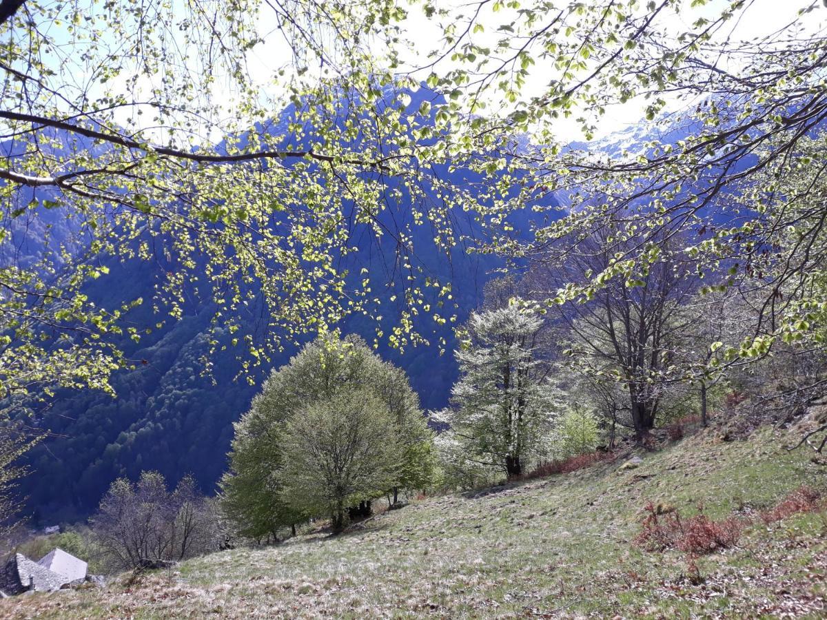Casa All'Alpe Gaggetto B & B Anzino Екстериор снимка