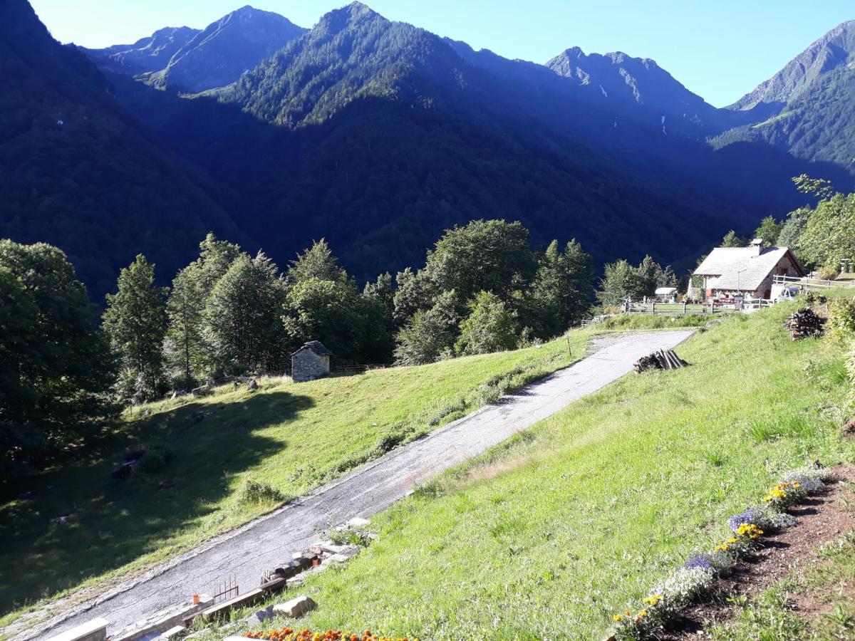 Casa All'Alpe Gaggetto B & B Anzino Екстериор снимка
